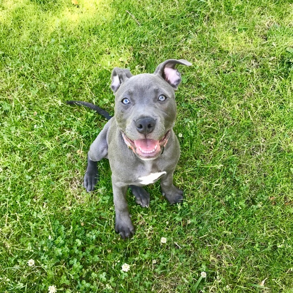 Meet your Posher, Emily - Picture 3 of 6